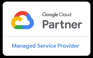 Google Partner